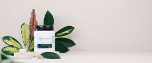 L GLUTAMINE 500