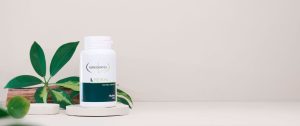 L REISHI
